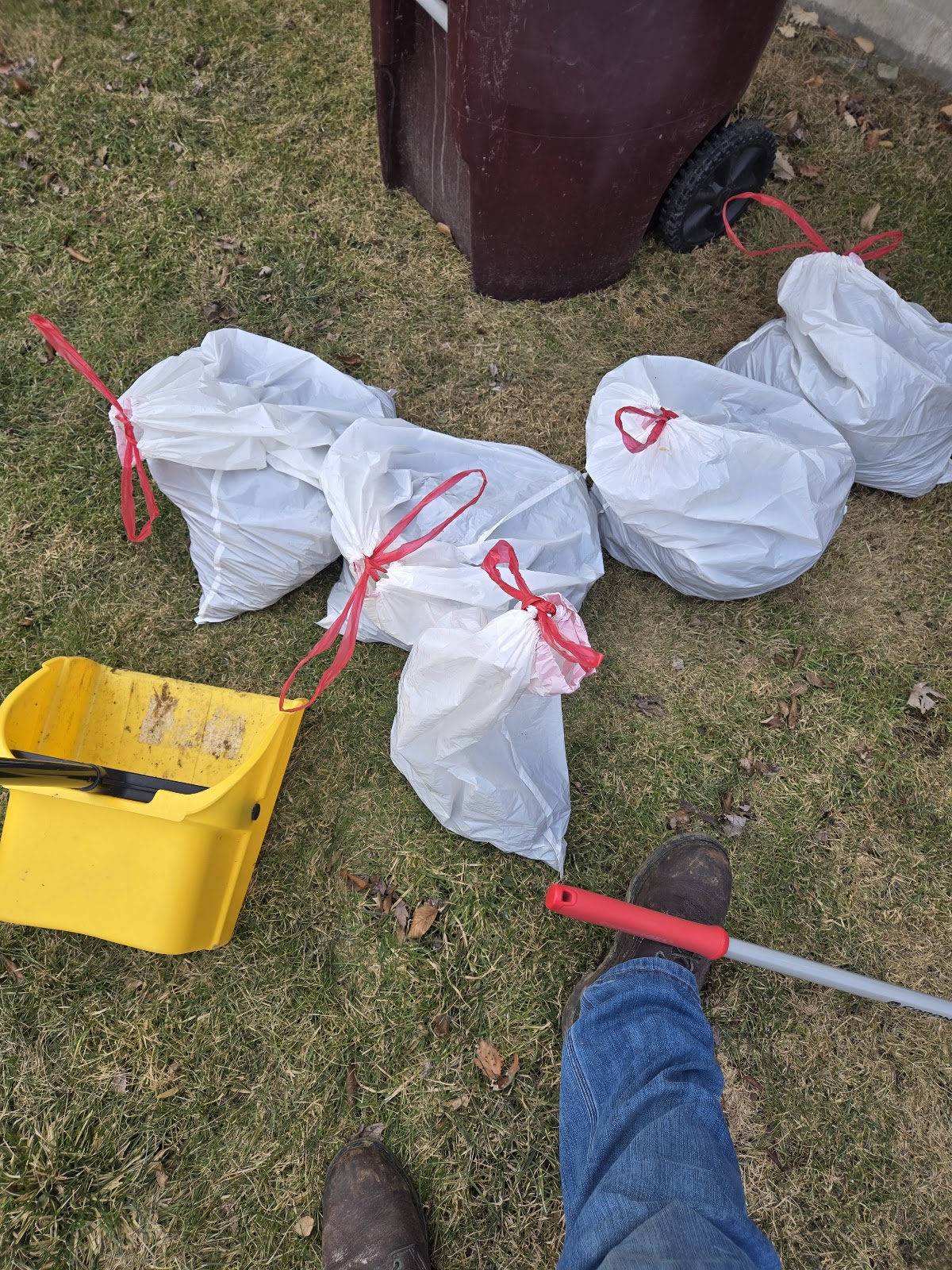 Poo Patrol Pet Waste Removal - Photo 4