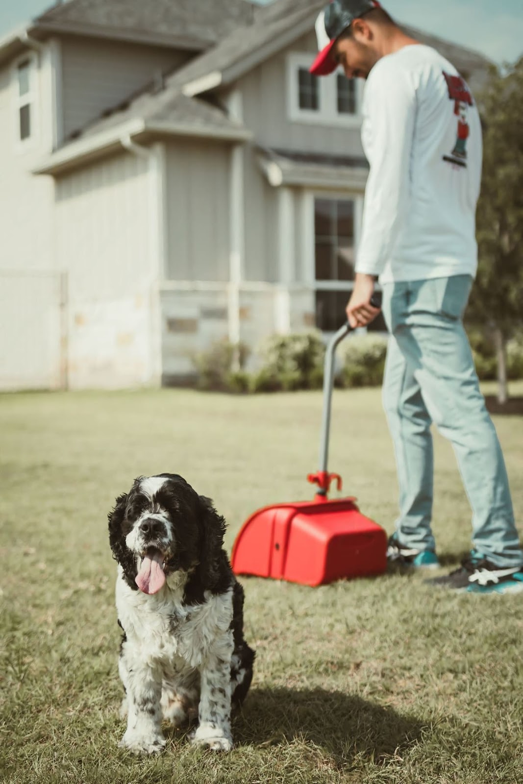 Fluffy Scooper - Pet Waste Removal Service - Photo 4