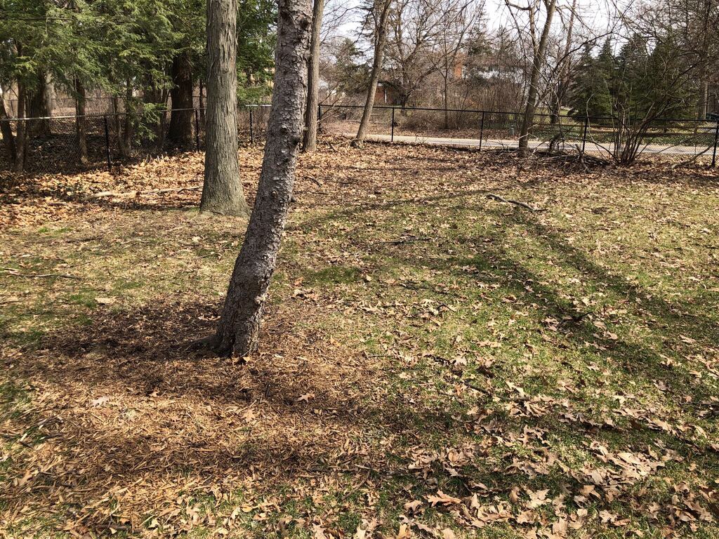 Poof Dog Poop Pickup LLC - Photo 2