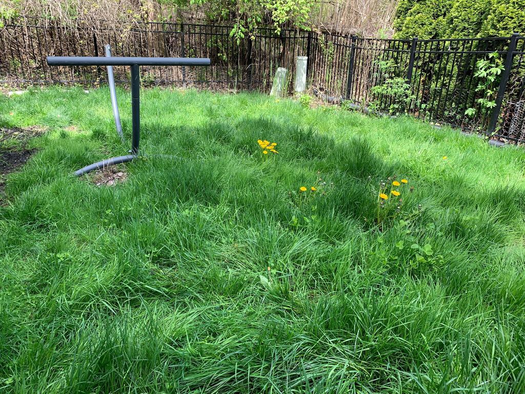 Poof Dog Poop Pickup LLC - Photo 3