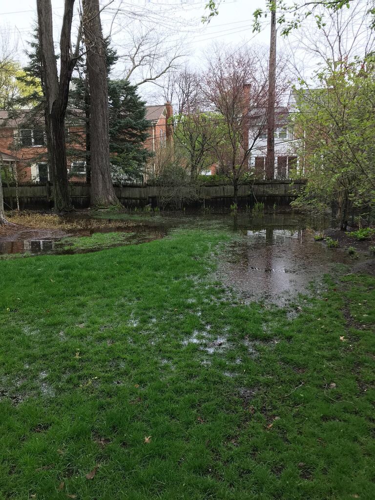 Poof Dog Poop Pickup LLC - Photo 4