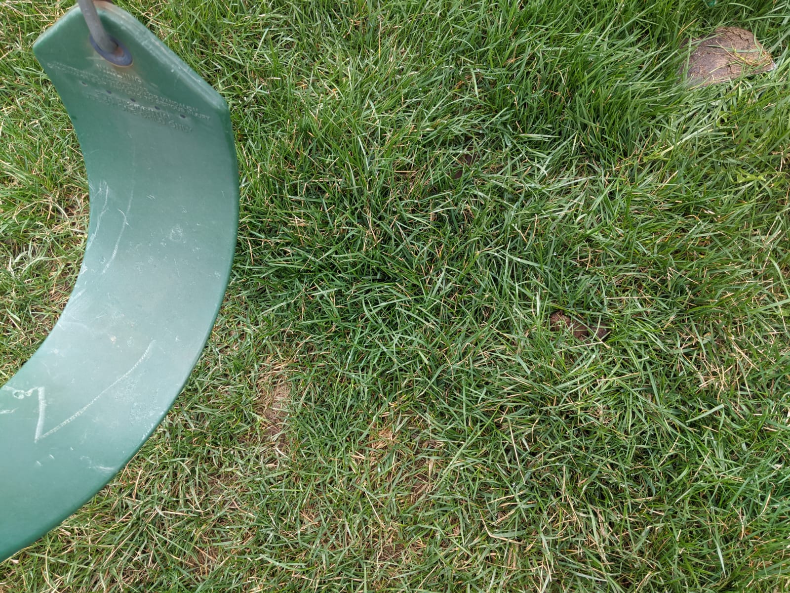 Fort Wayne Dog Poop Scoopers - Photo 3