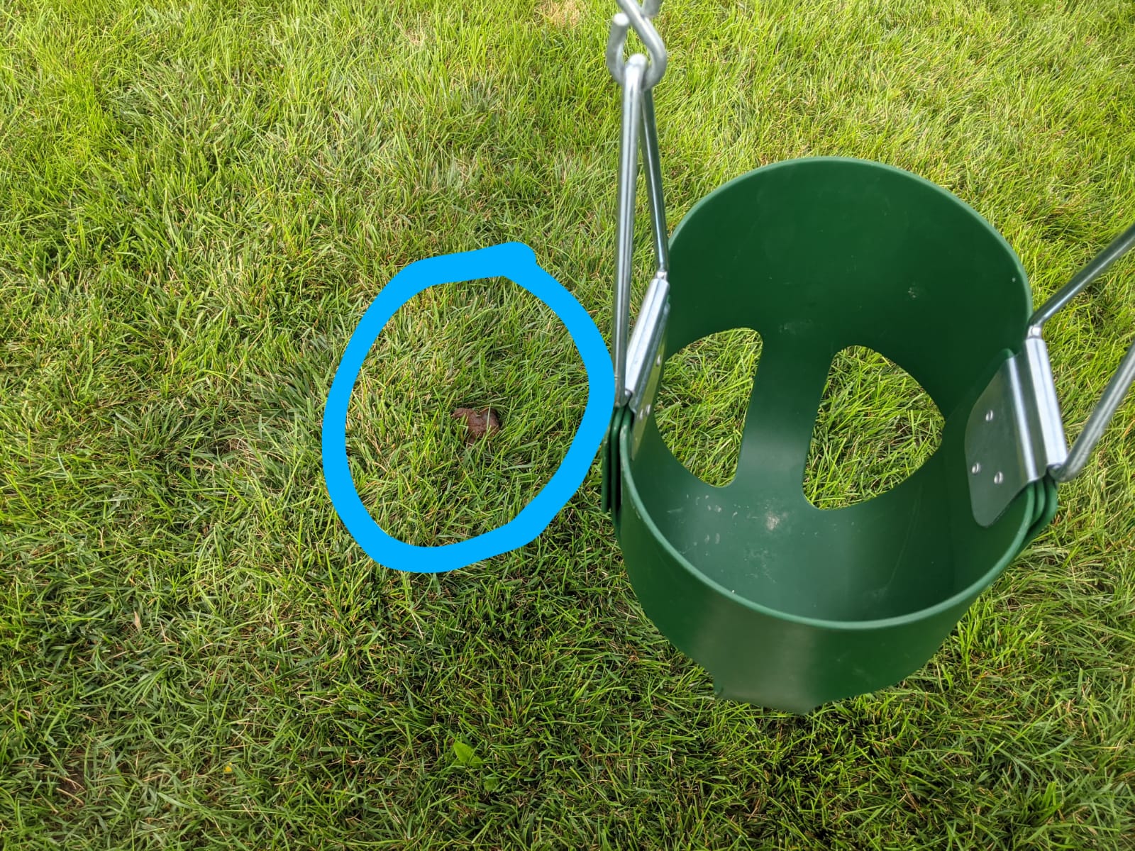 Fort Wayne Dog Poop Scoopers - Photo 4