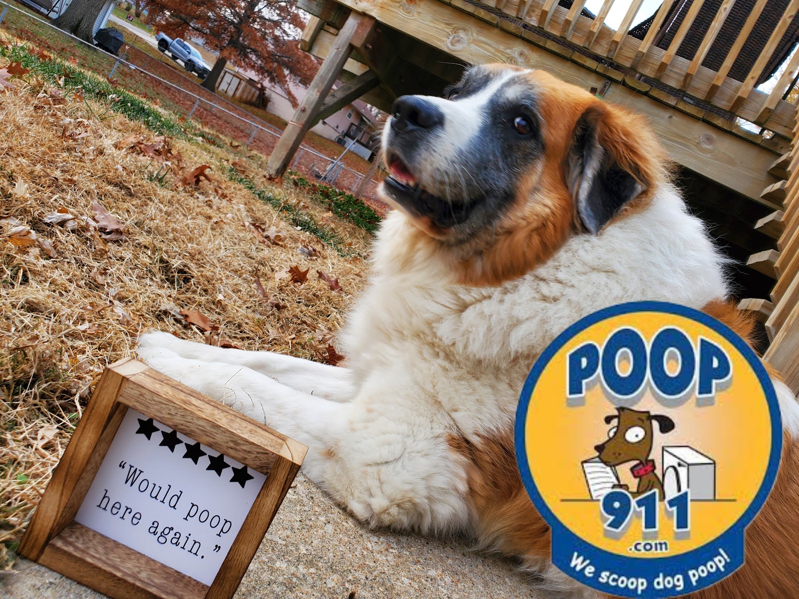 POOP 911 South Kansas City - Photo 4