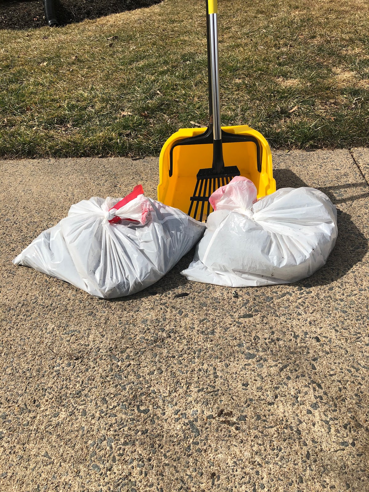 C&C Pet Waste Removal - Photo 2