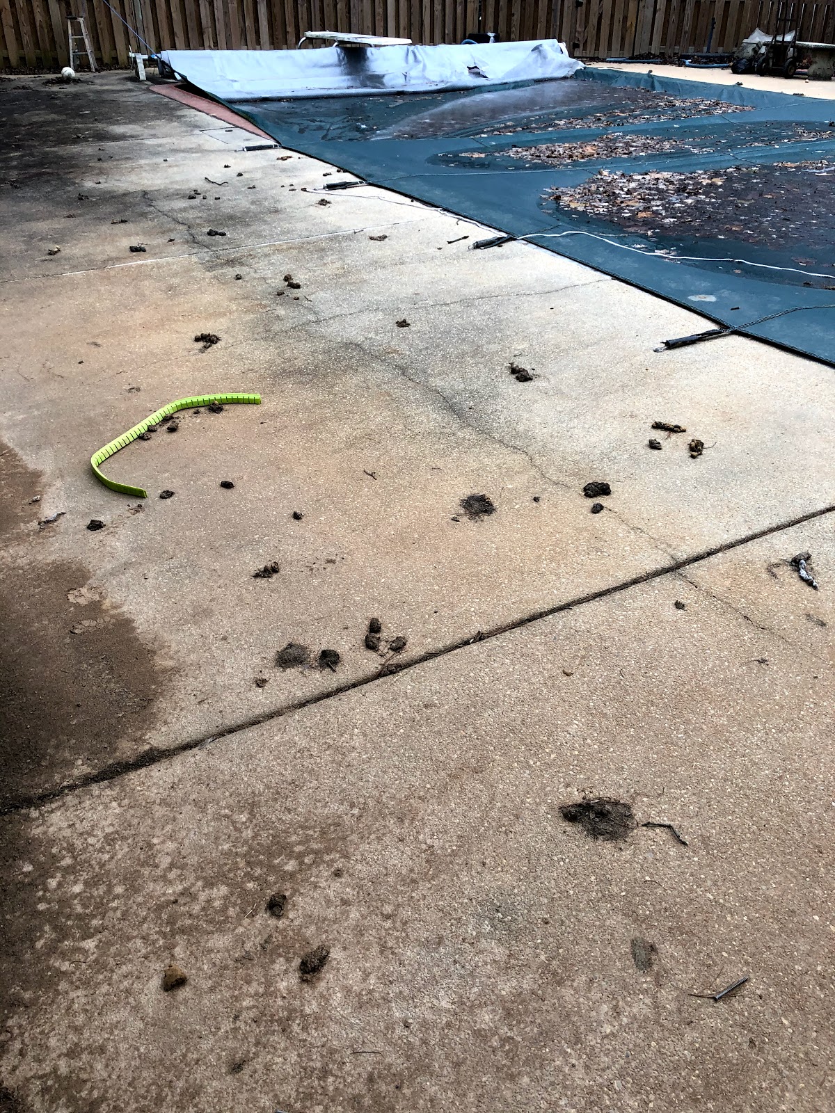 C&C Pet Waste Removal - Photo 3