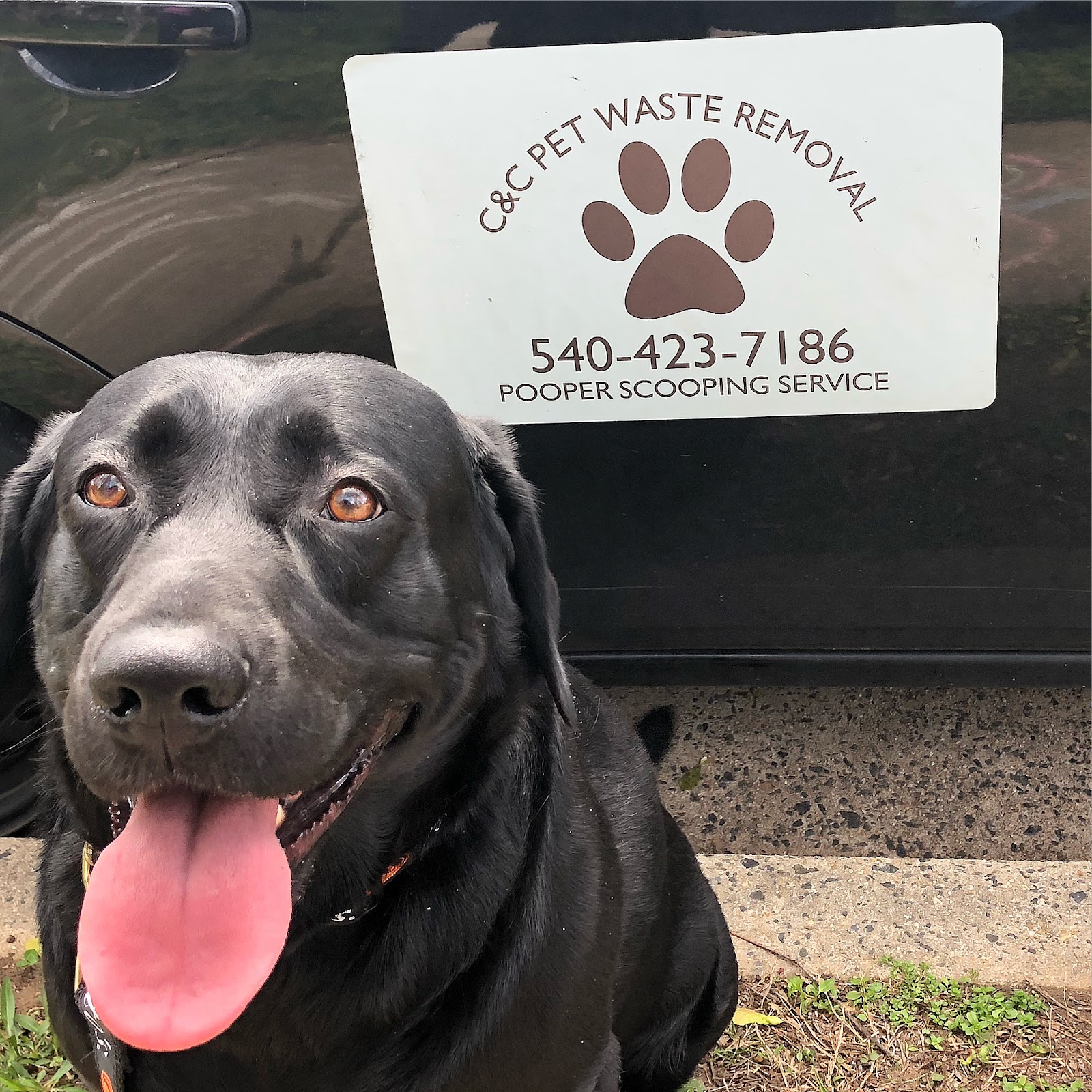 C&C Pet Waste Removal - Photo 4