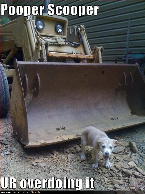 The Doody Scouts - Photo 2