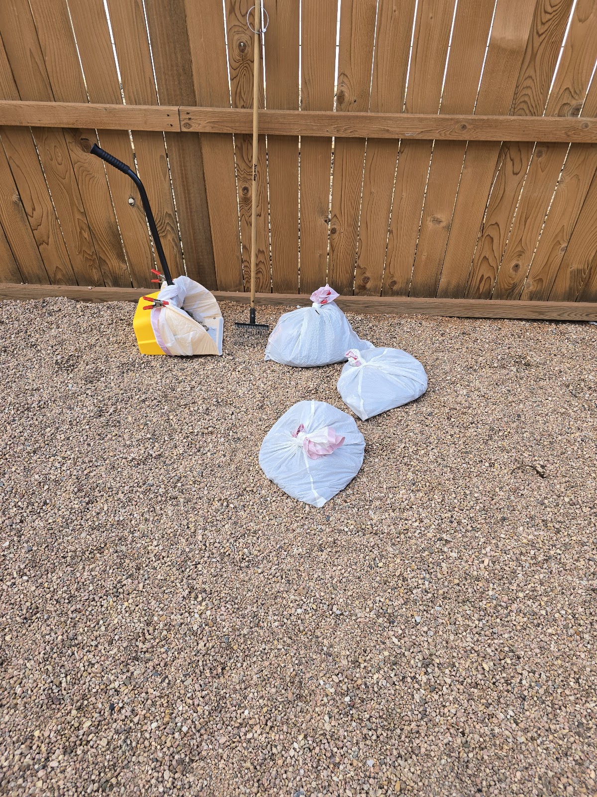 Kanga Poo Poo Patrol