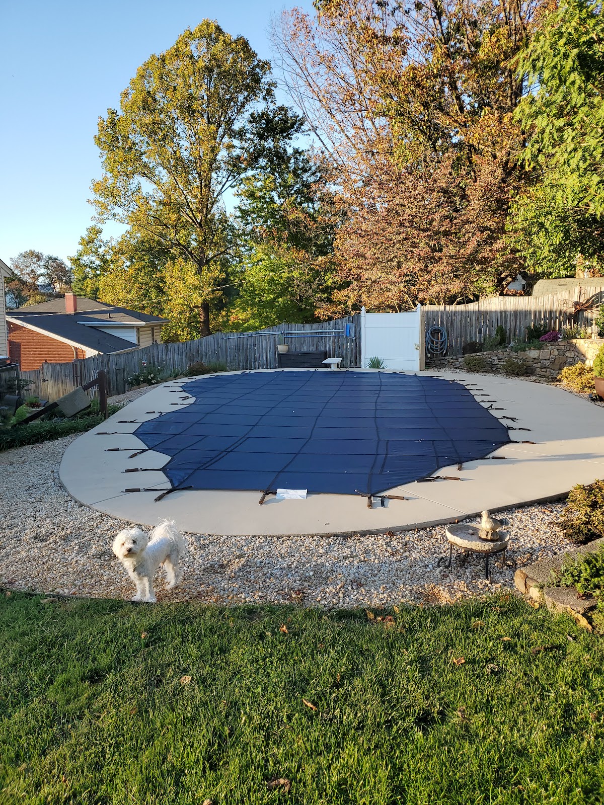 Remove A Pool - Photo 2