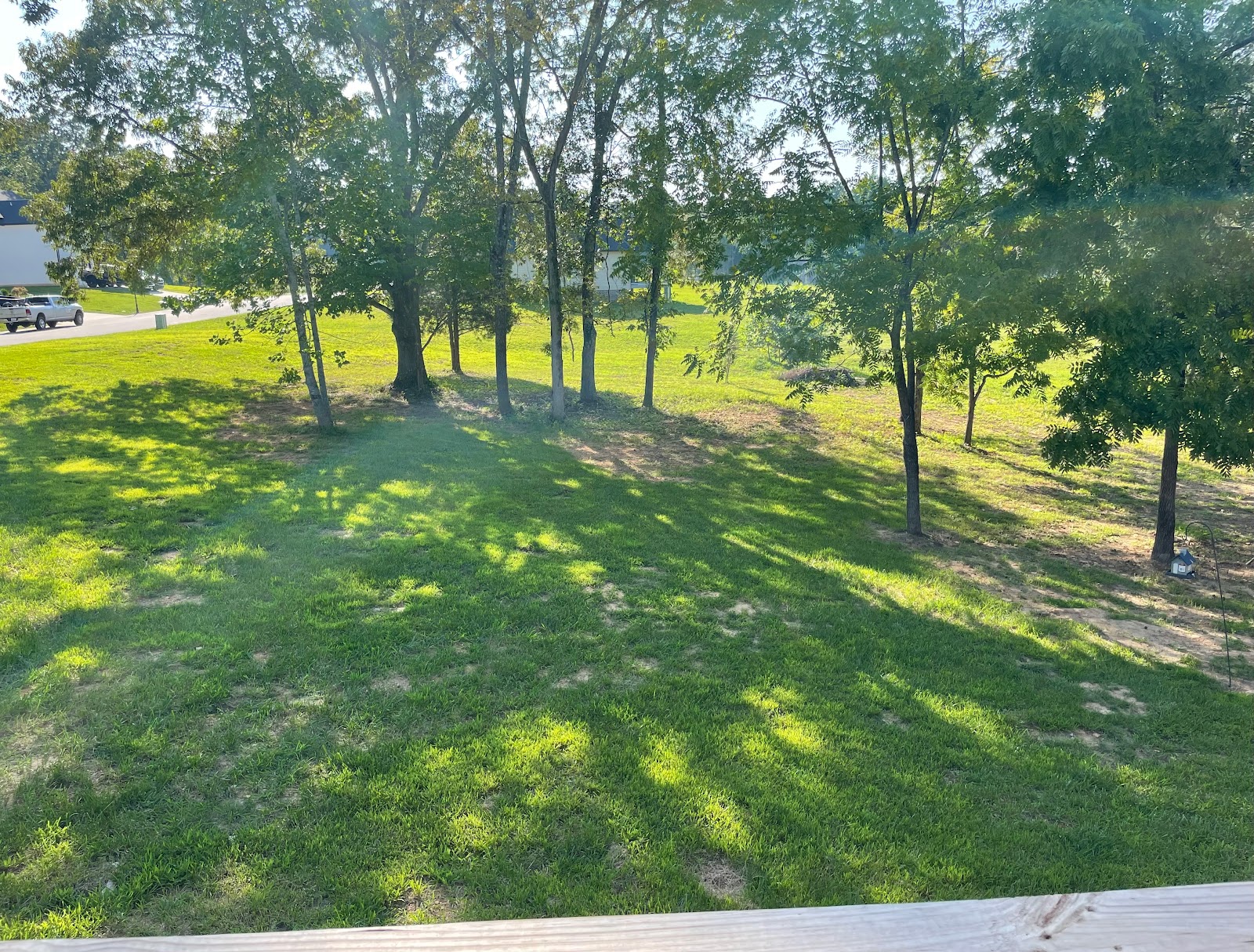 Active Doody - Photo 2