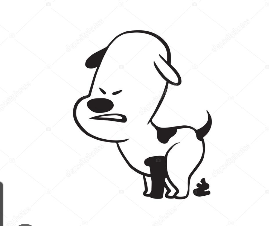 They Poop We Scoop - Photo 3