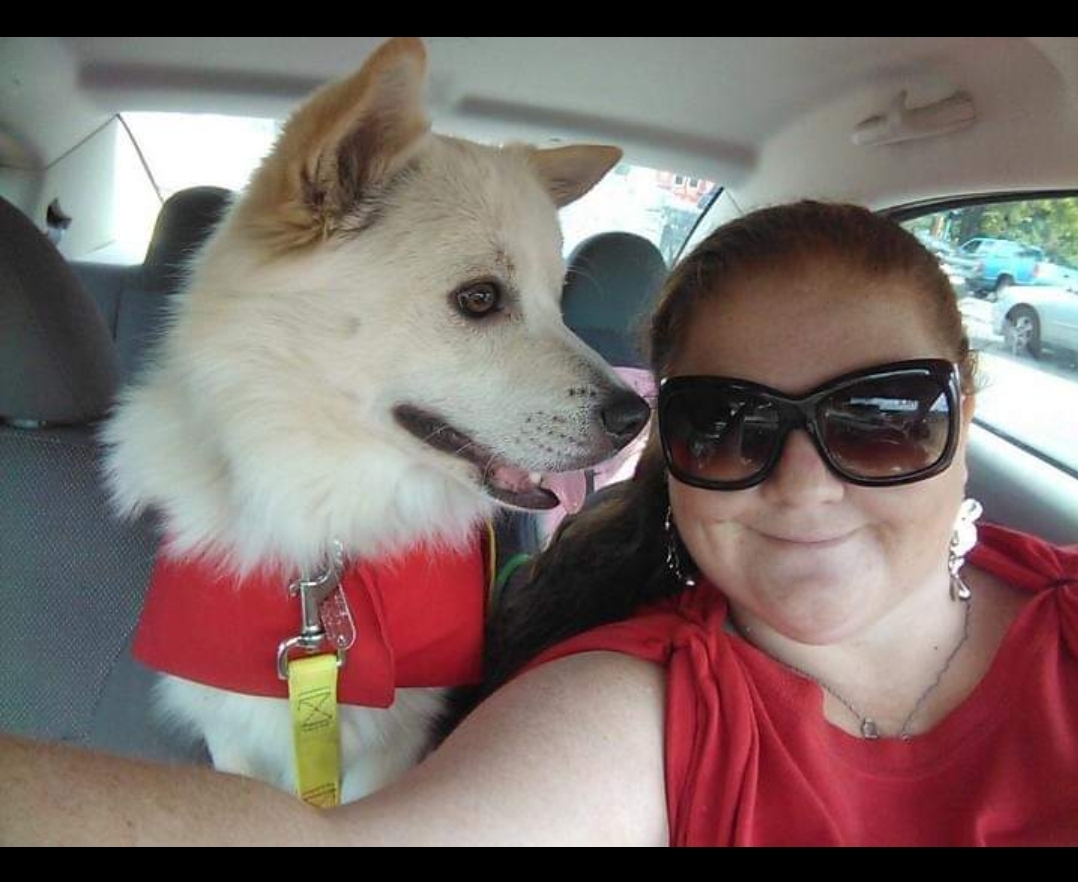 They Poop We Scoop - Photo 4