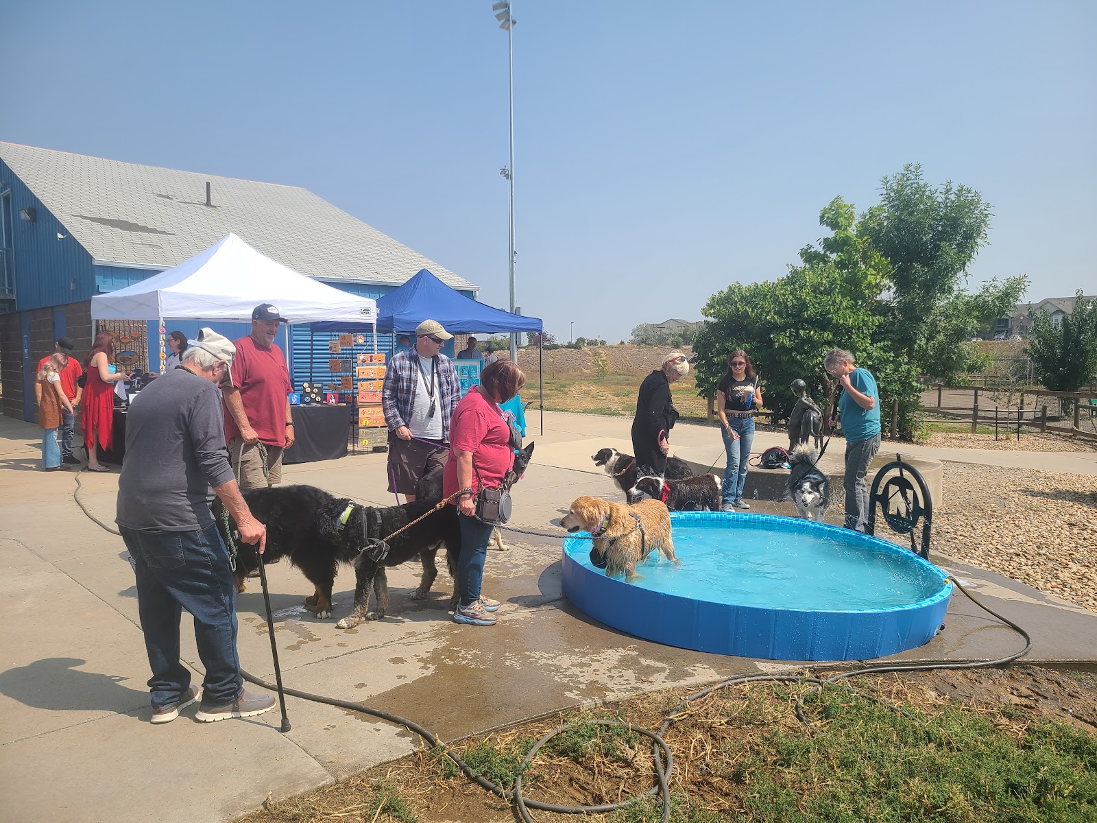 Colorado Pooper Scoopers - Photo 2