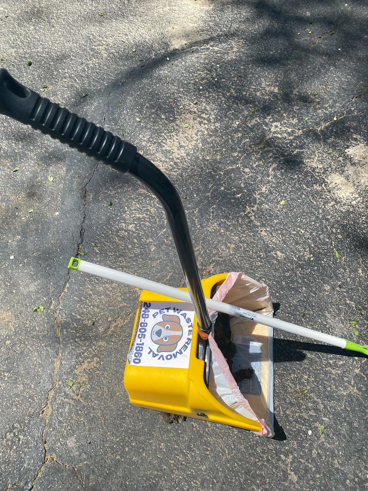 Does Your Dog Poop in Your Yard - Photo 3