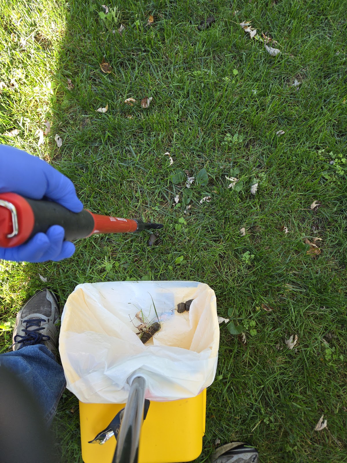 Professional Poo Patrol LLC