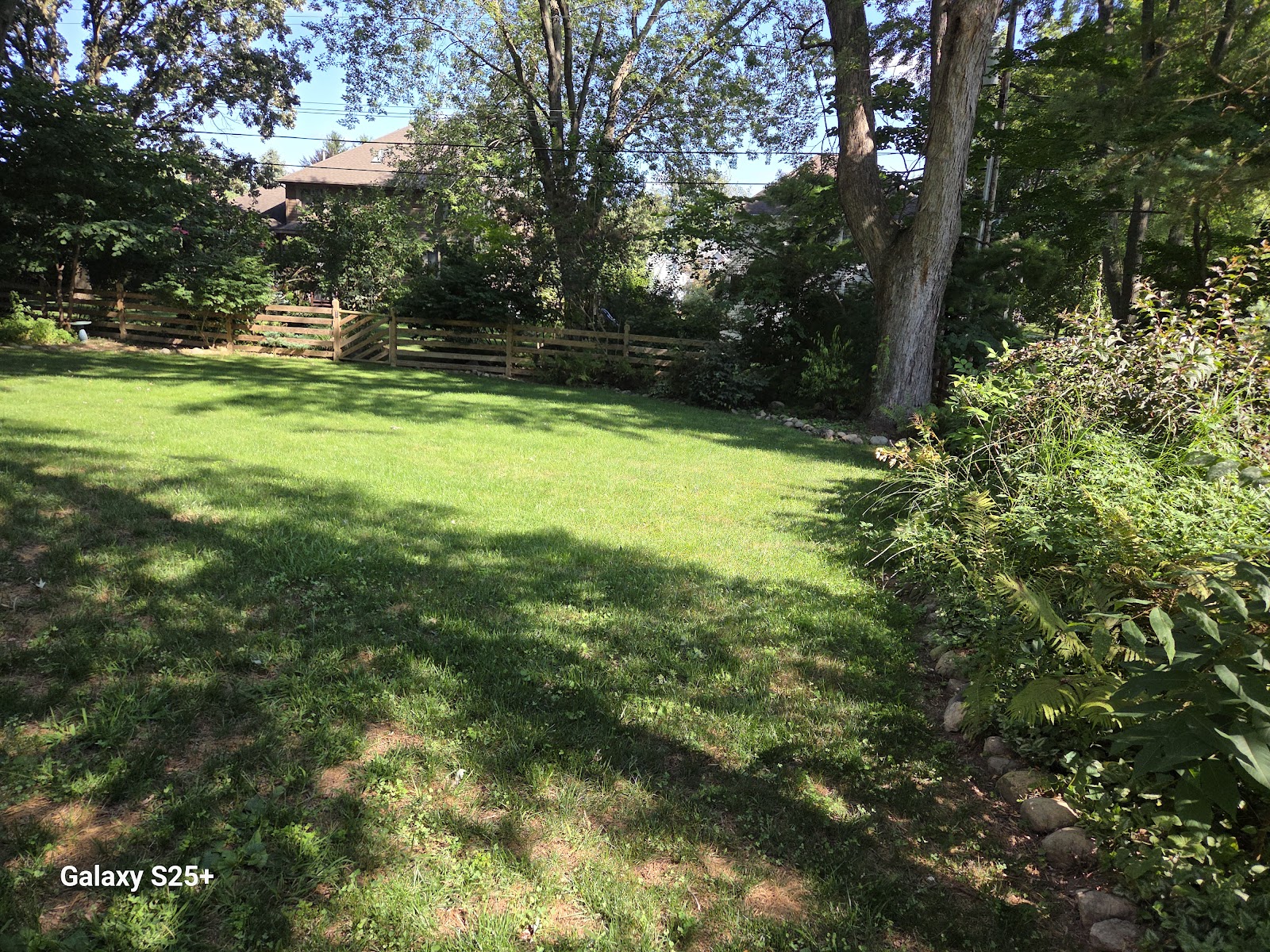 Professional Poo Patrol LLC - Photo 2