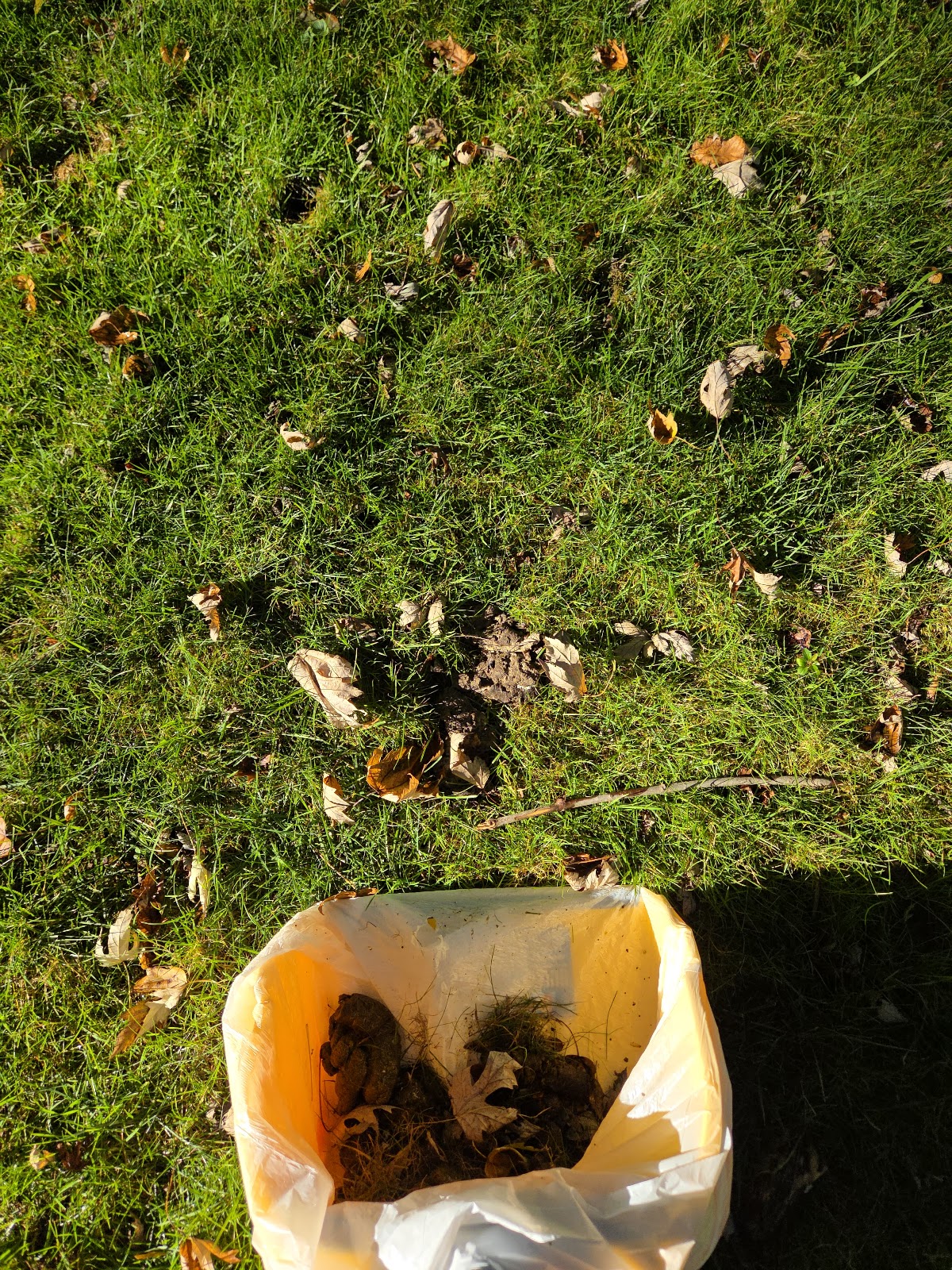 Professional Poo Patrol LLC - Photo 4