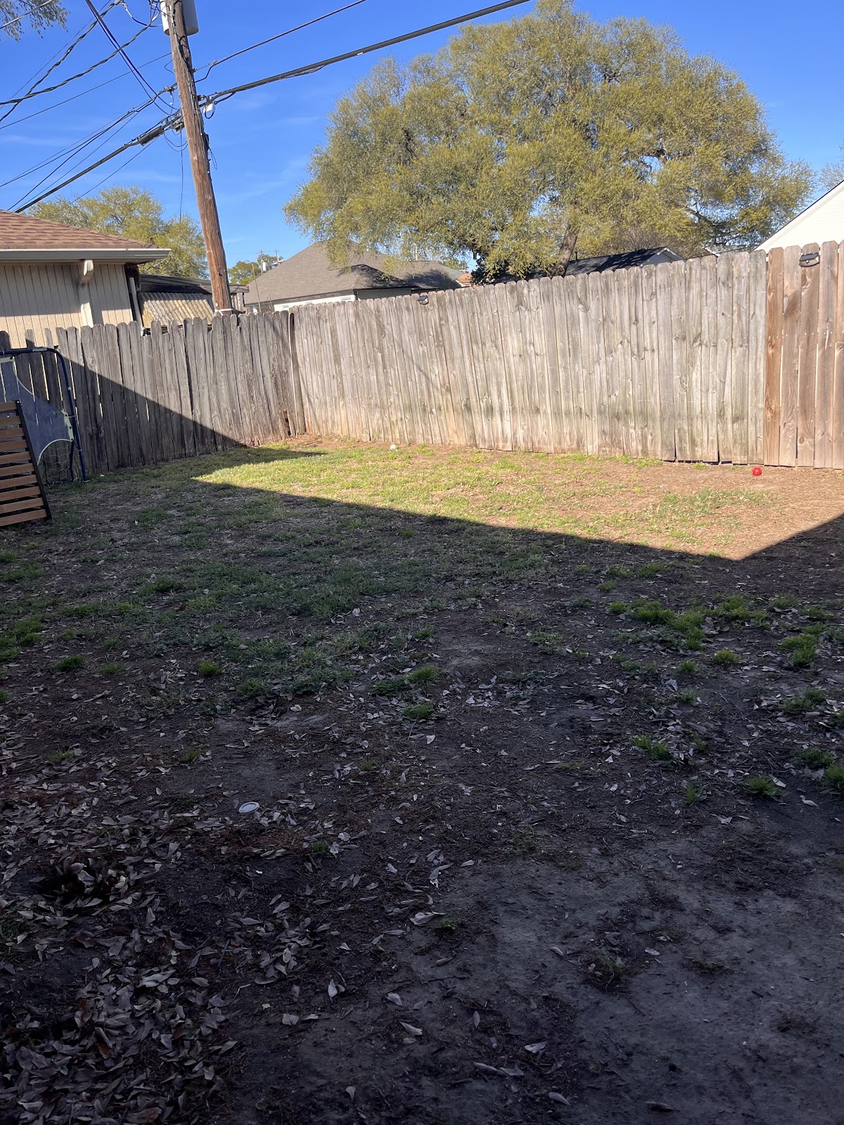 Krewe de Pooux LLC - Photo 3