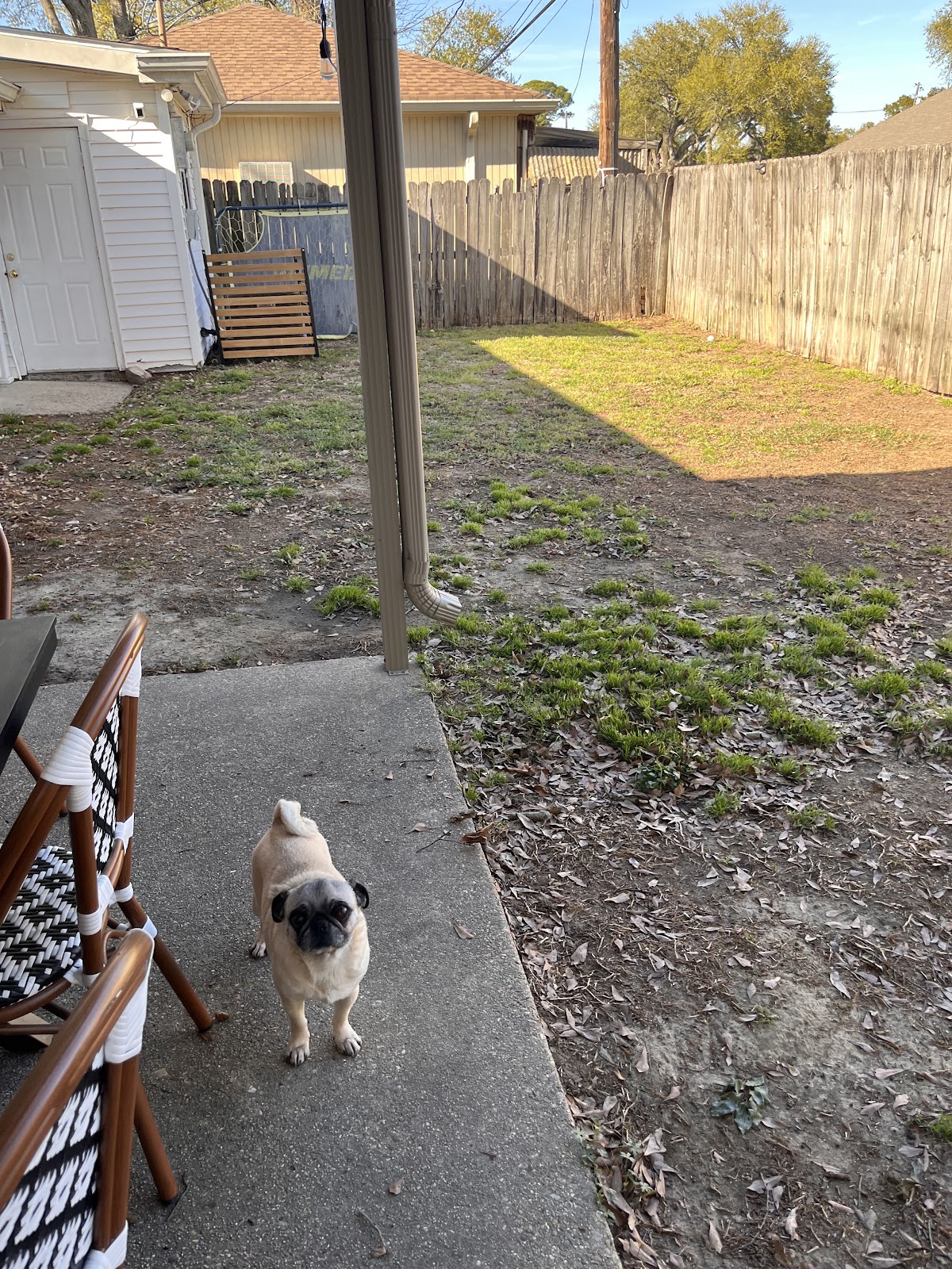 Krewe de Pooux LLC - Photo 4