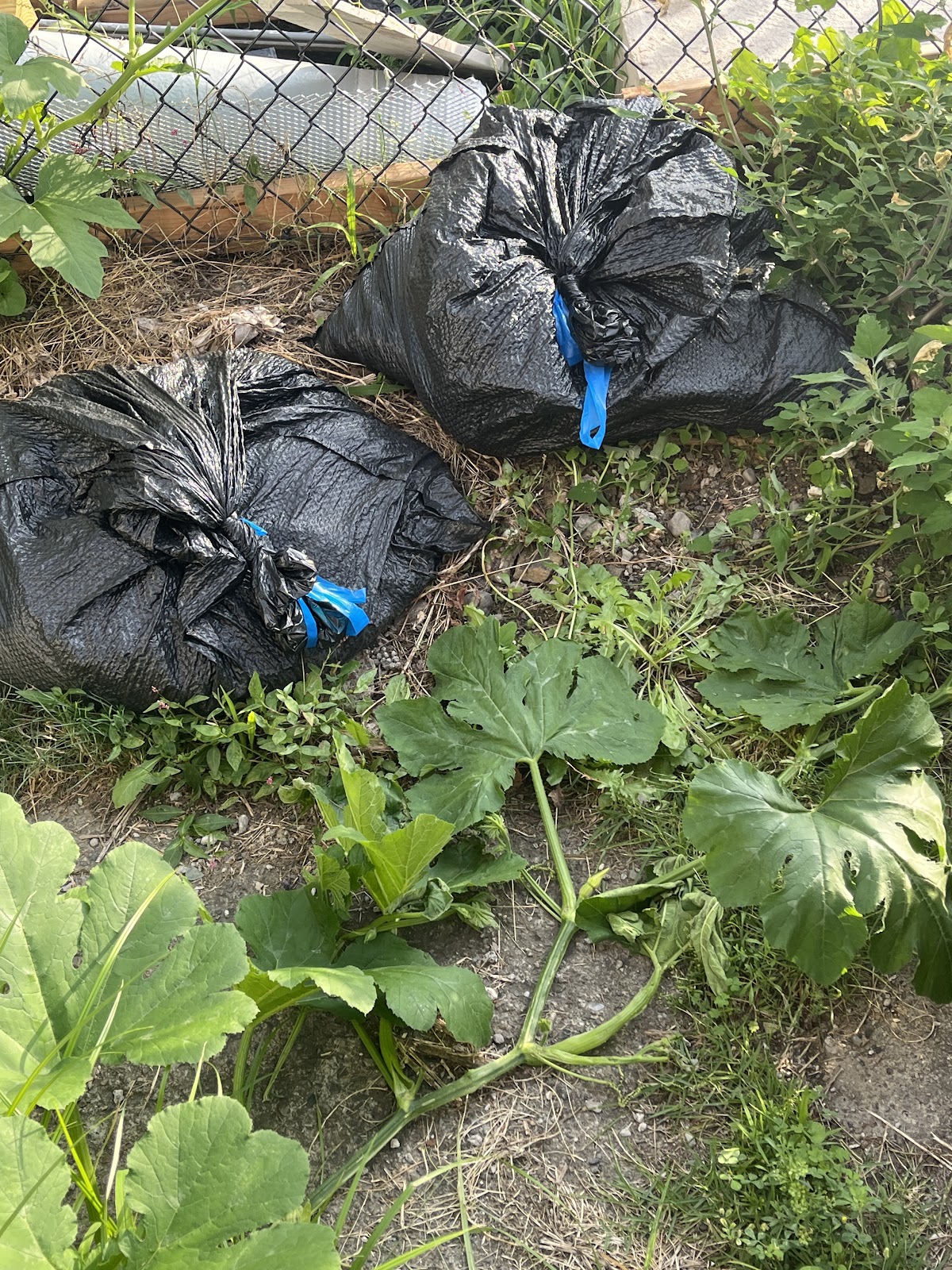 Pawfect Pet Cleanup LLC - Photo 3