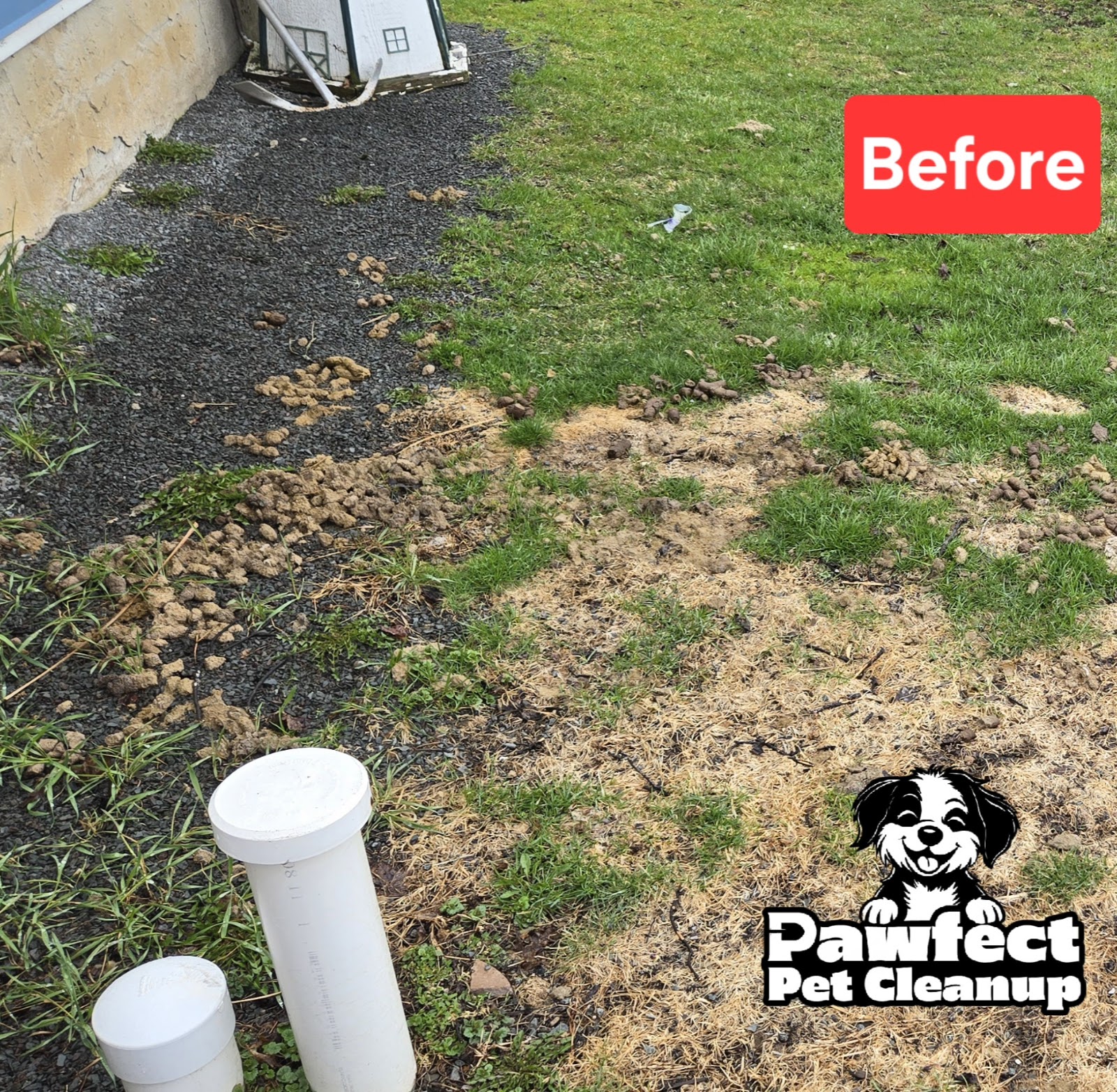 Pawfect Pet Cleanup LLC - Photo 4