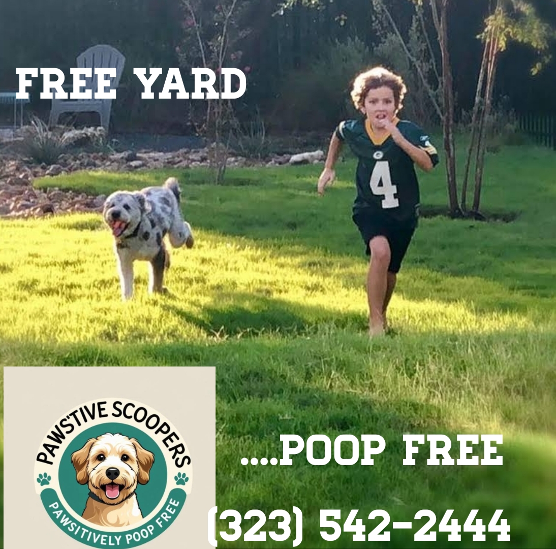 PAWSITIVE POOP SCOOPERS - Photo 3