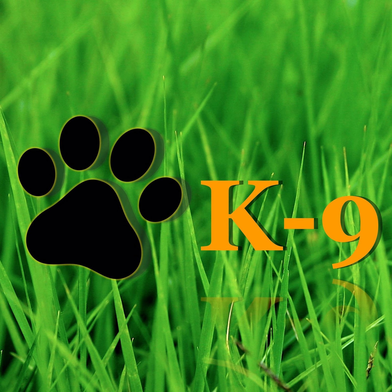 K-9 Poo Gone, LLC