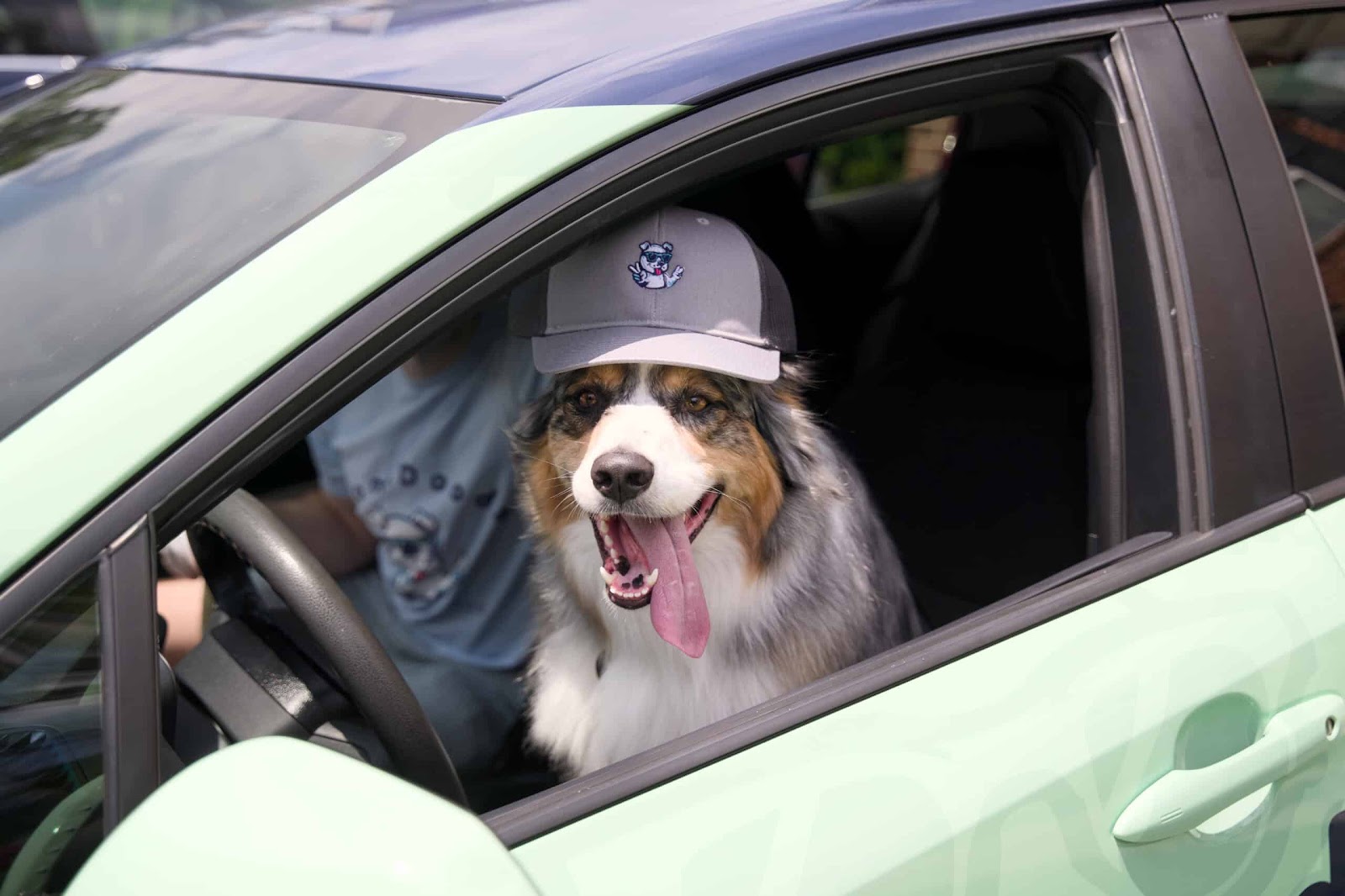 ScoopDoods - Photo 2