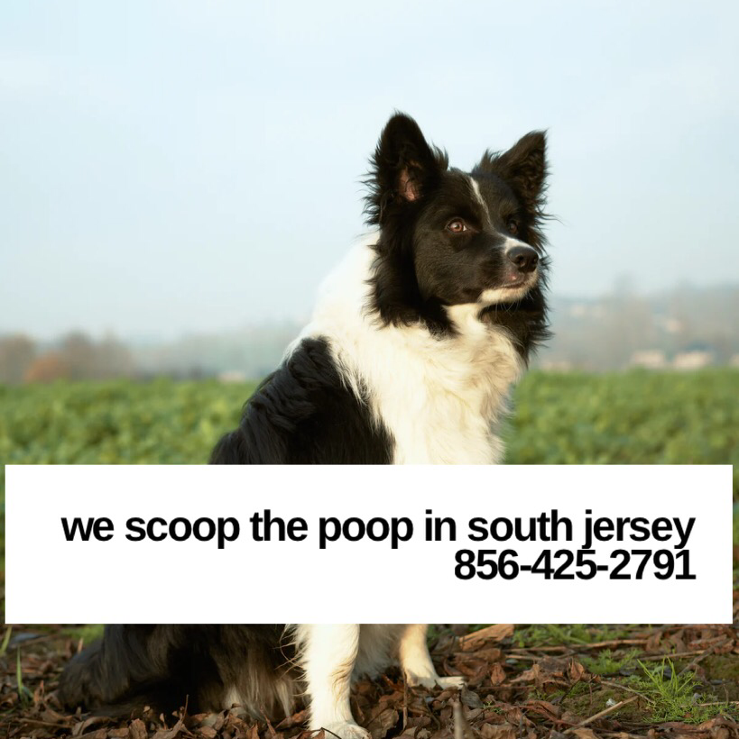 I Scoop The Poop - Photo 4