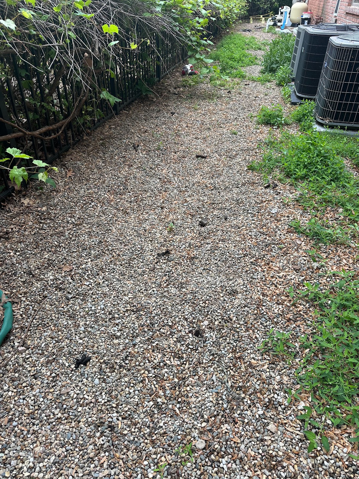 Dog Doody LLC - Photo 4