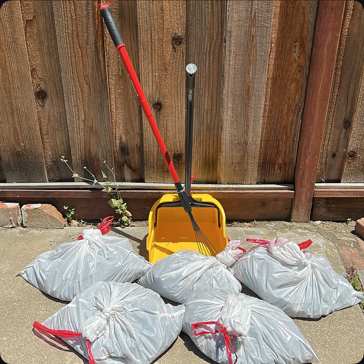 Evergreen Pooper Scoopers