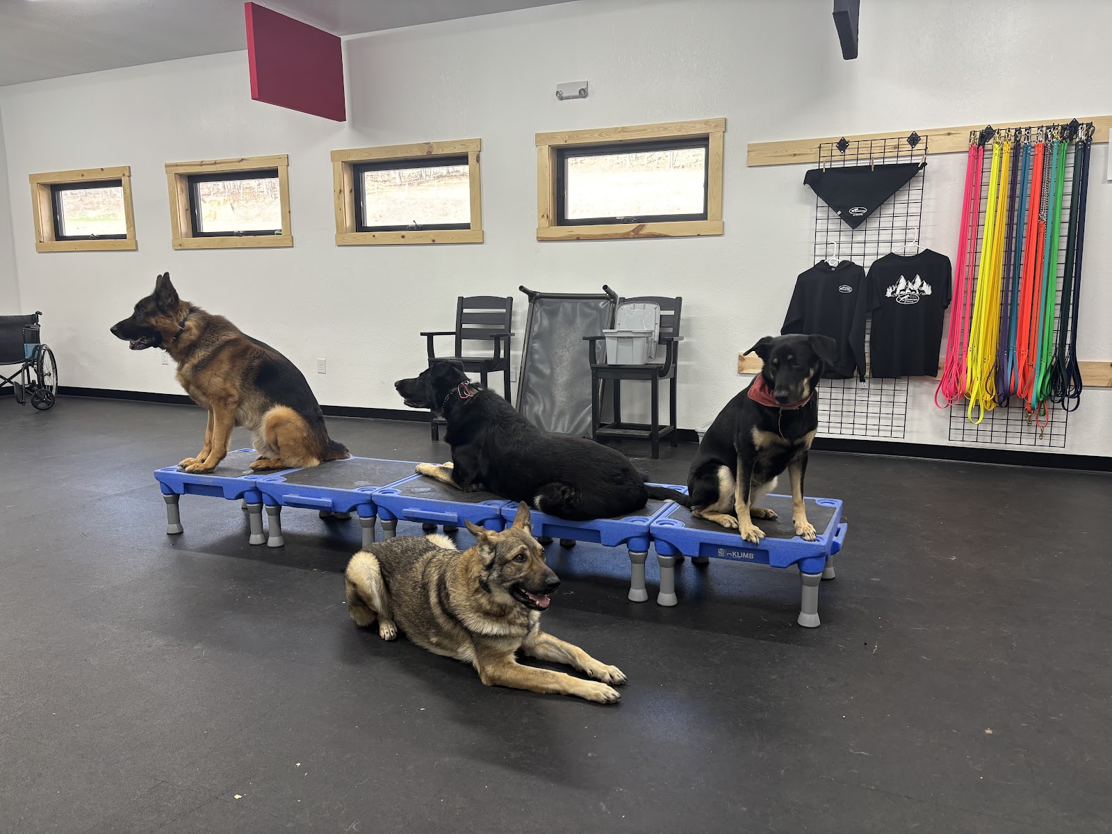 K9 Solutions Center