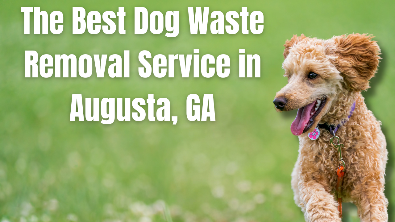 The Turf Troop - Poop Scooping