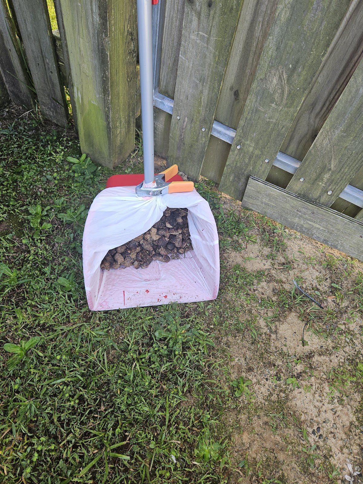 The Turf Troop - Poop Scooping - Photo 3