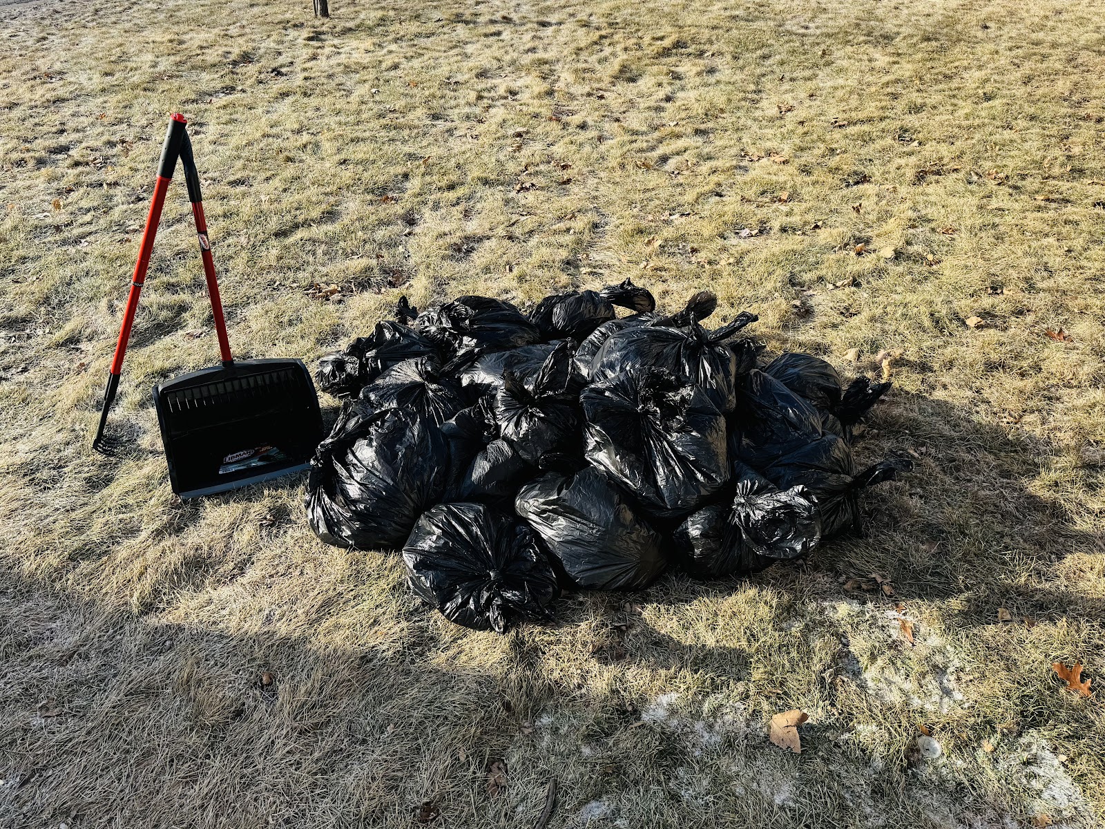 Poo Pawtrol - Photo 2