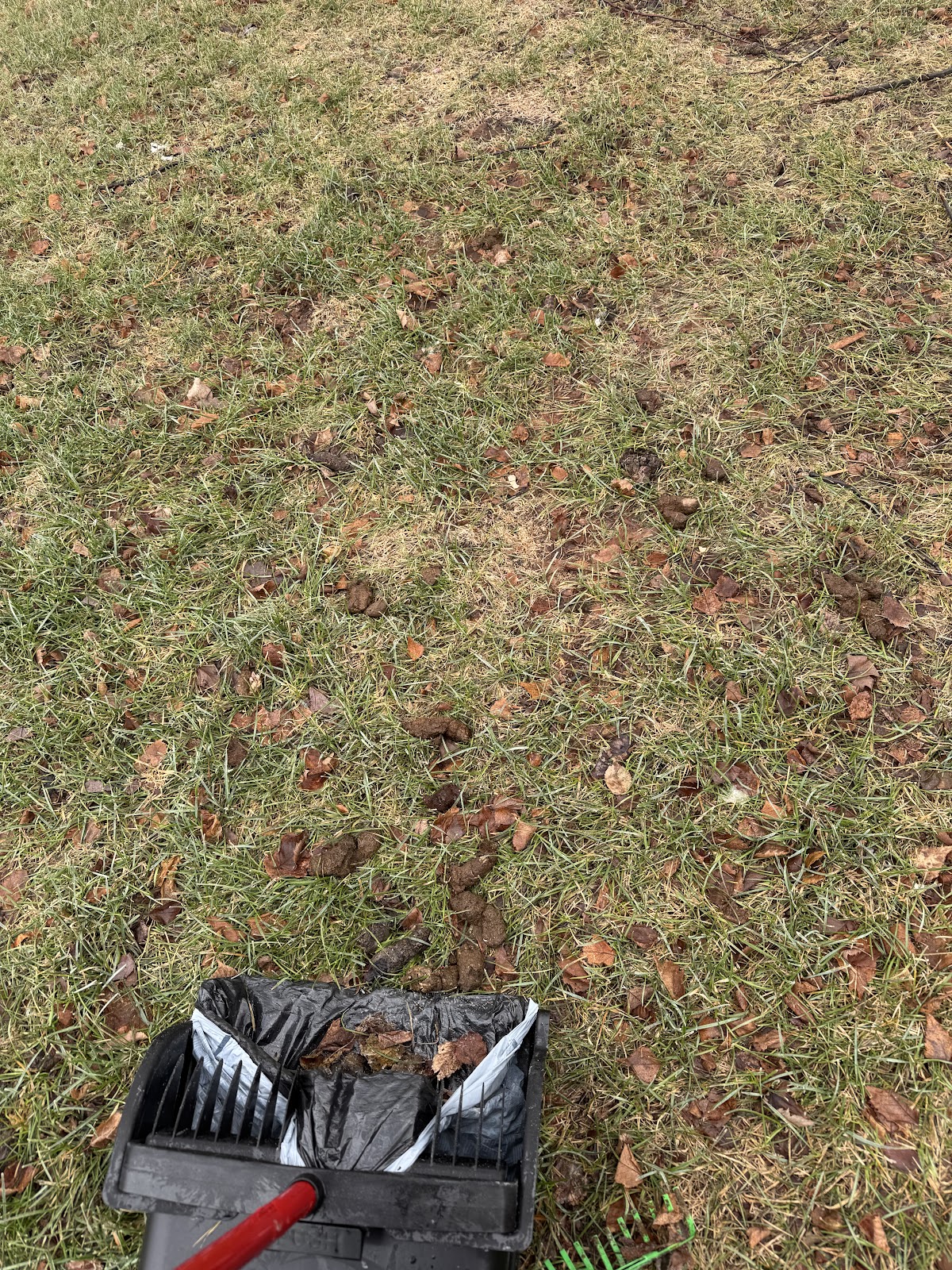 Poo Pawtrol - Photo 3