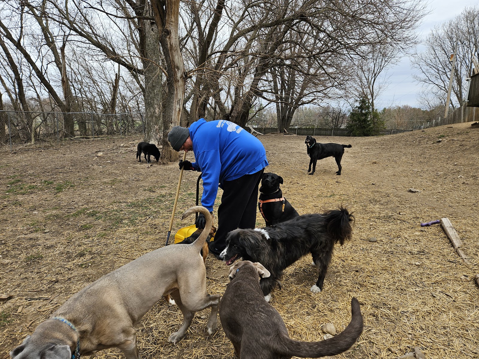 Scoops of Duty Dog Waste Removal LLC - Photo 2