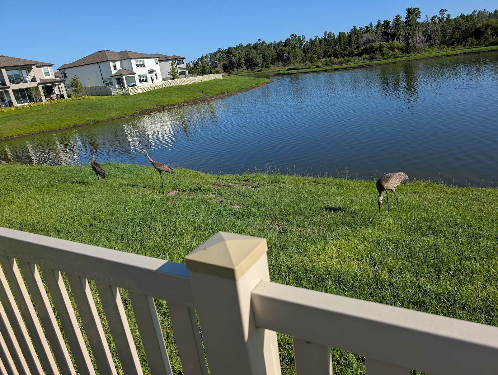 Trooper's Poo Patrol - Photo 4