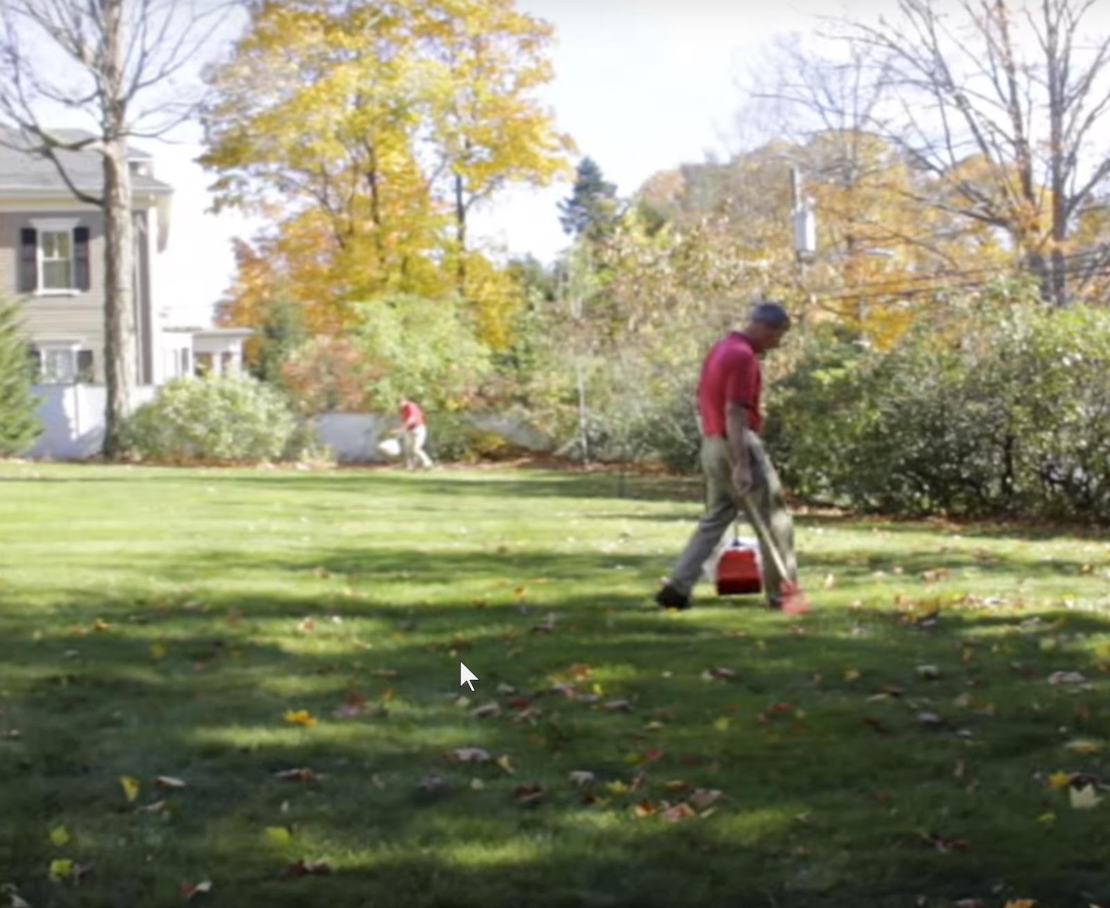 Scoop Doctor by Pet Assist - Photo 2