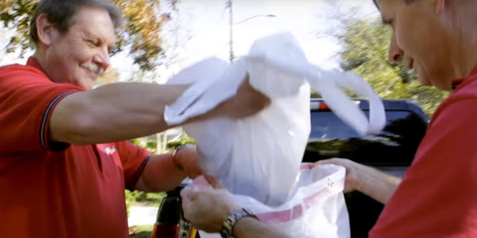 Scoop Doctor by Pet Assist - Photo 4