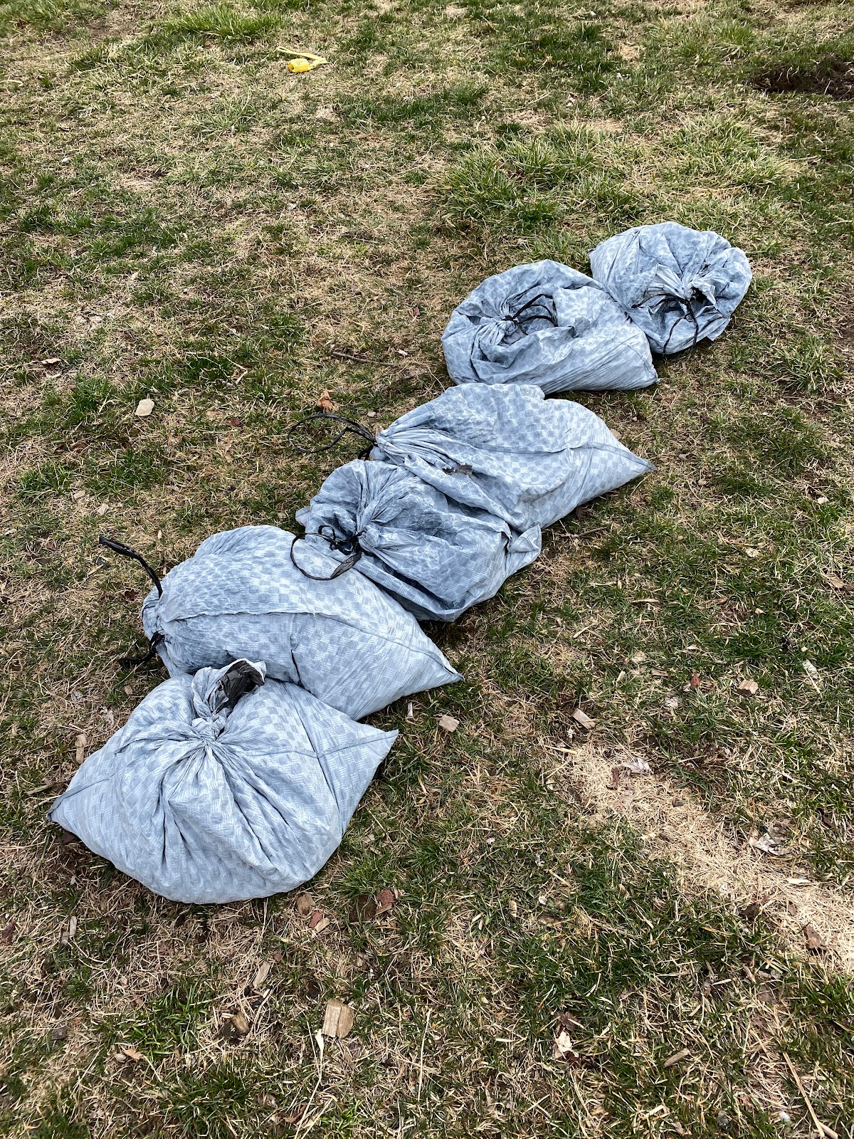 On Doody Scoop Squad - Photo 2