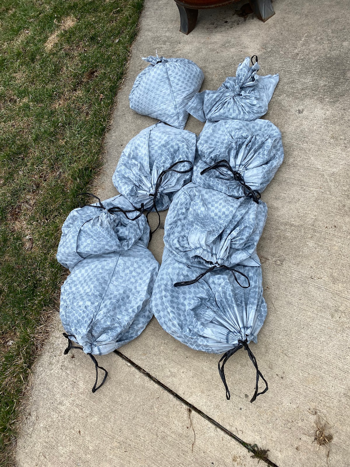 On Doody Scoop Squad - Photo 3