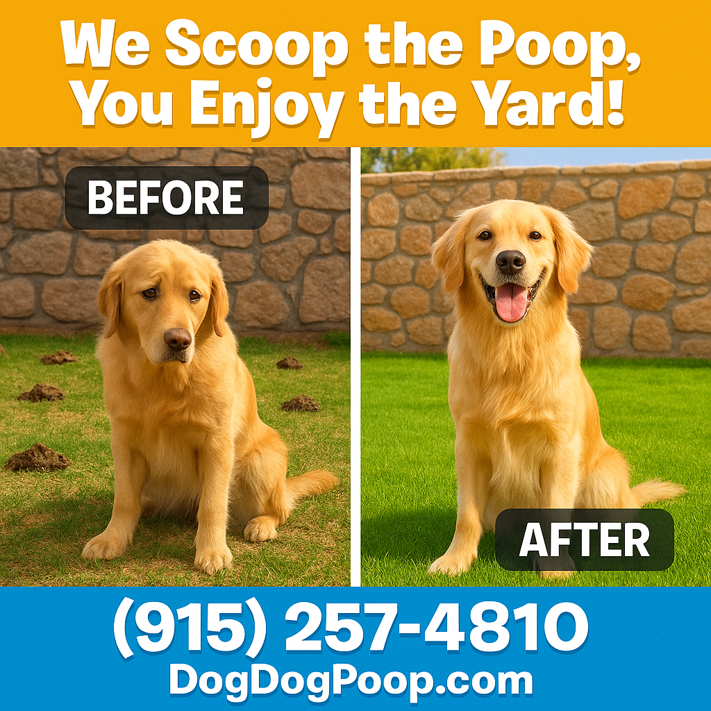 Dog Dog Poop – El Paso Dog Waste Removal