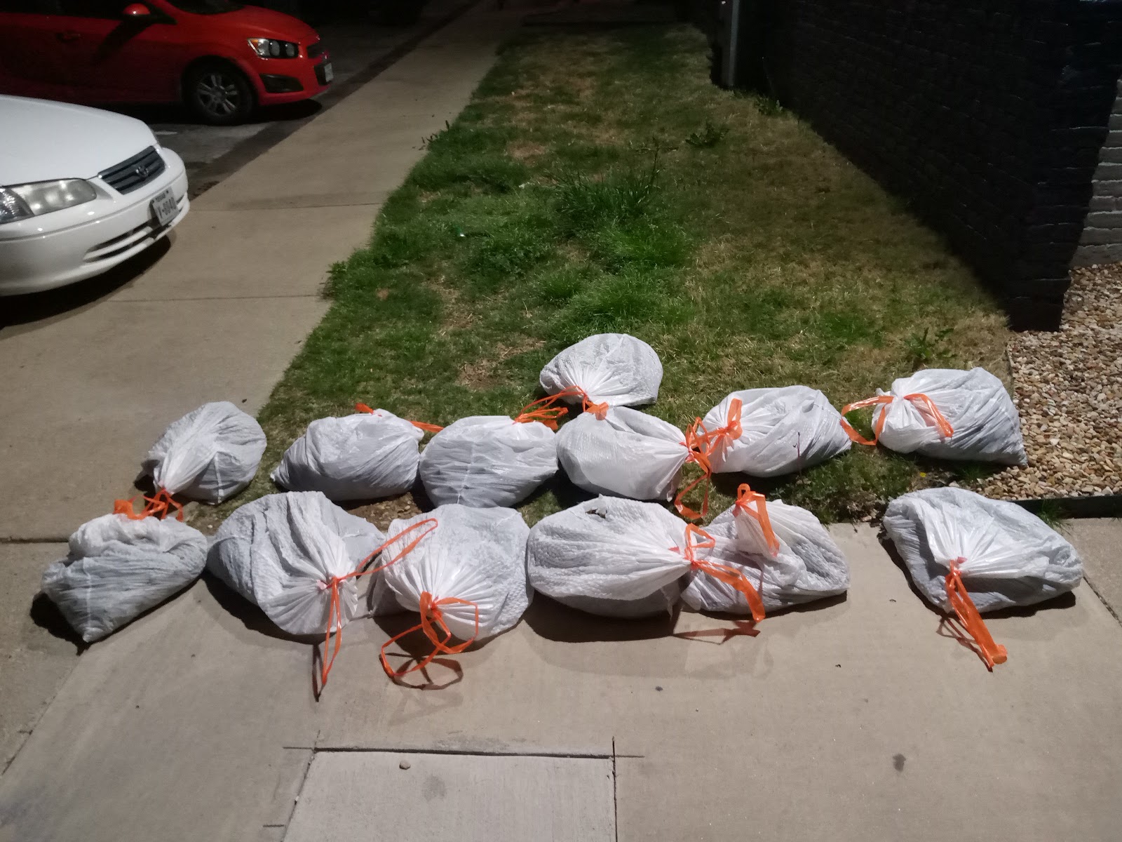 Dog Pile (Pet Waste Removal)