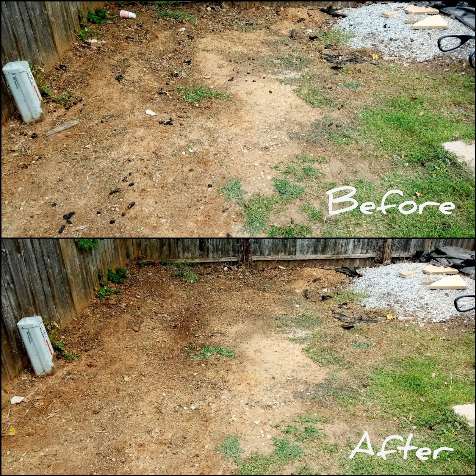 Dog Pile (Pet Waste Removal) - Photo 2