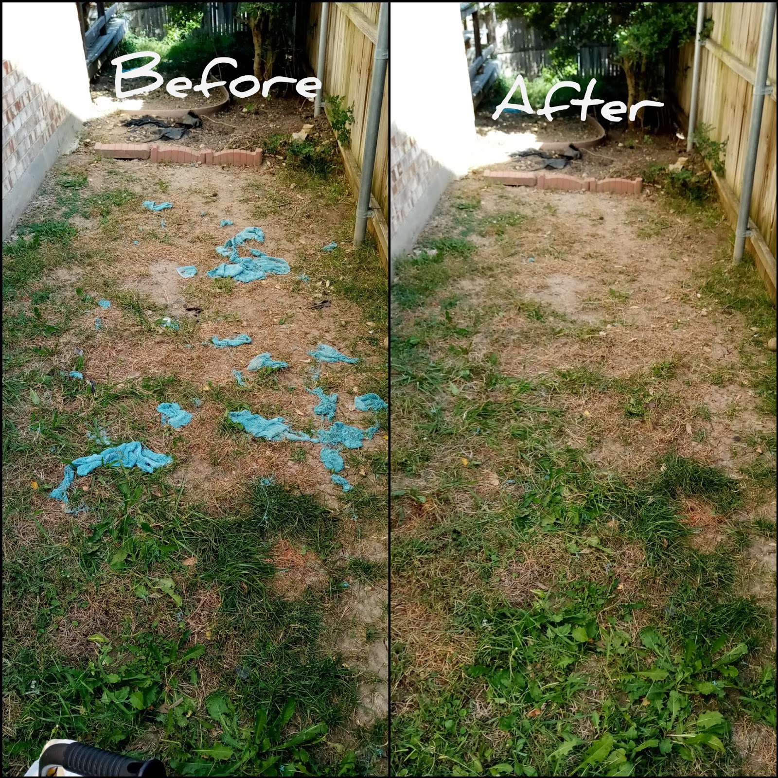 Dog Pile (Pet Waste Removal) - Photo 3