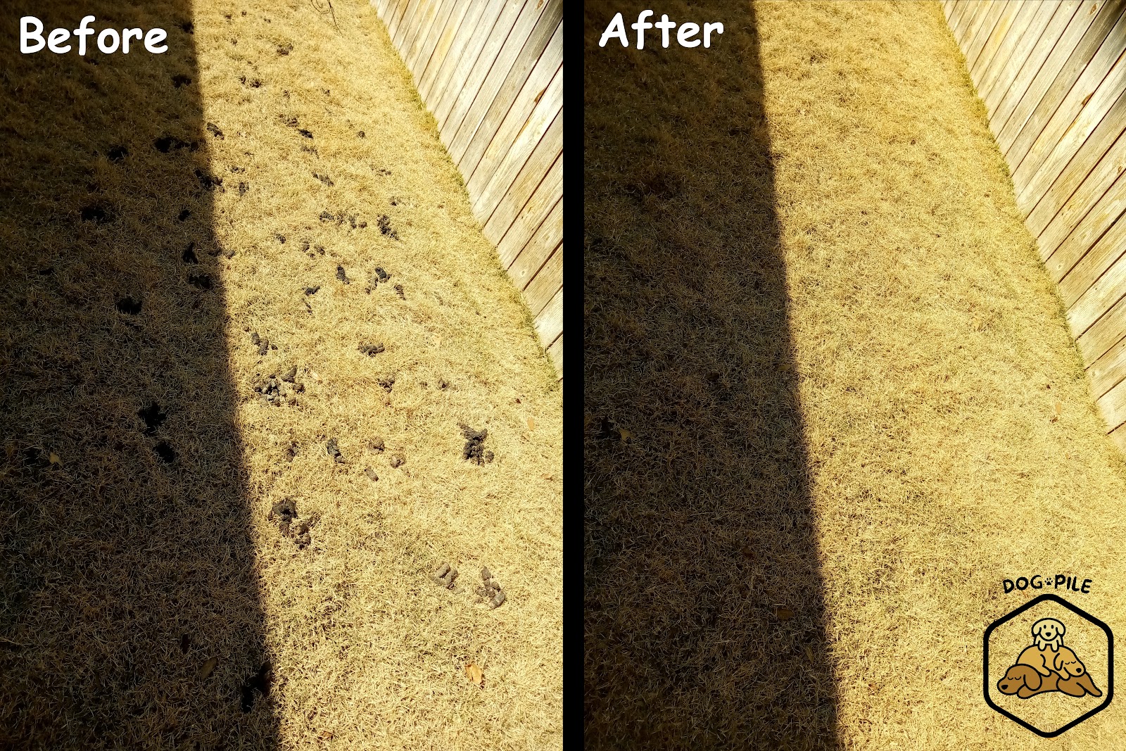 Dog Pile (Pet Waste Removal) - Photo 4