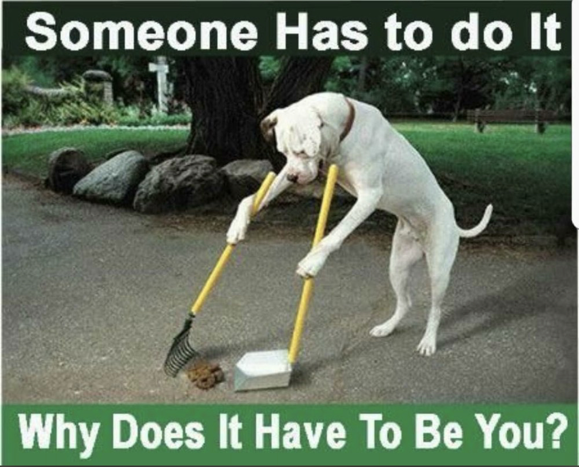 Super Scooper LLC - Photo 3