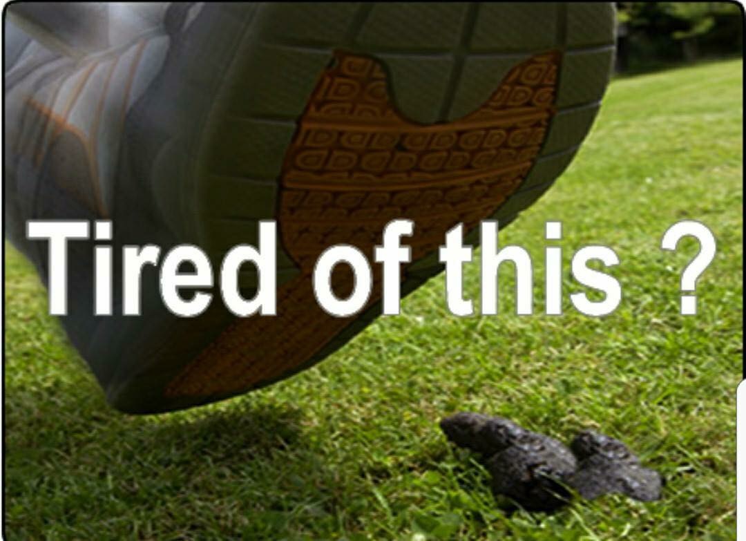 Super Scooper LLC - Photo 4